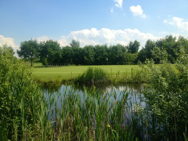 Was kostet Golf wirklich? 5 Mythen im Check