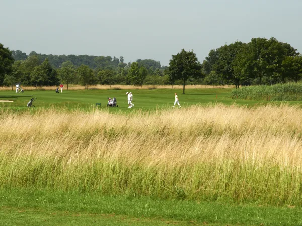 Golf-Ausrüstung für Anfänger: Was brauchst du wirklich?