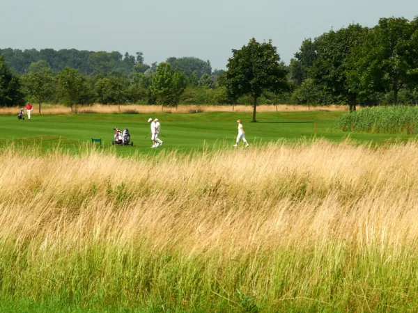 Golf lernen mit 40+ – warum es nie zu spät ist