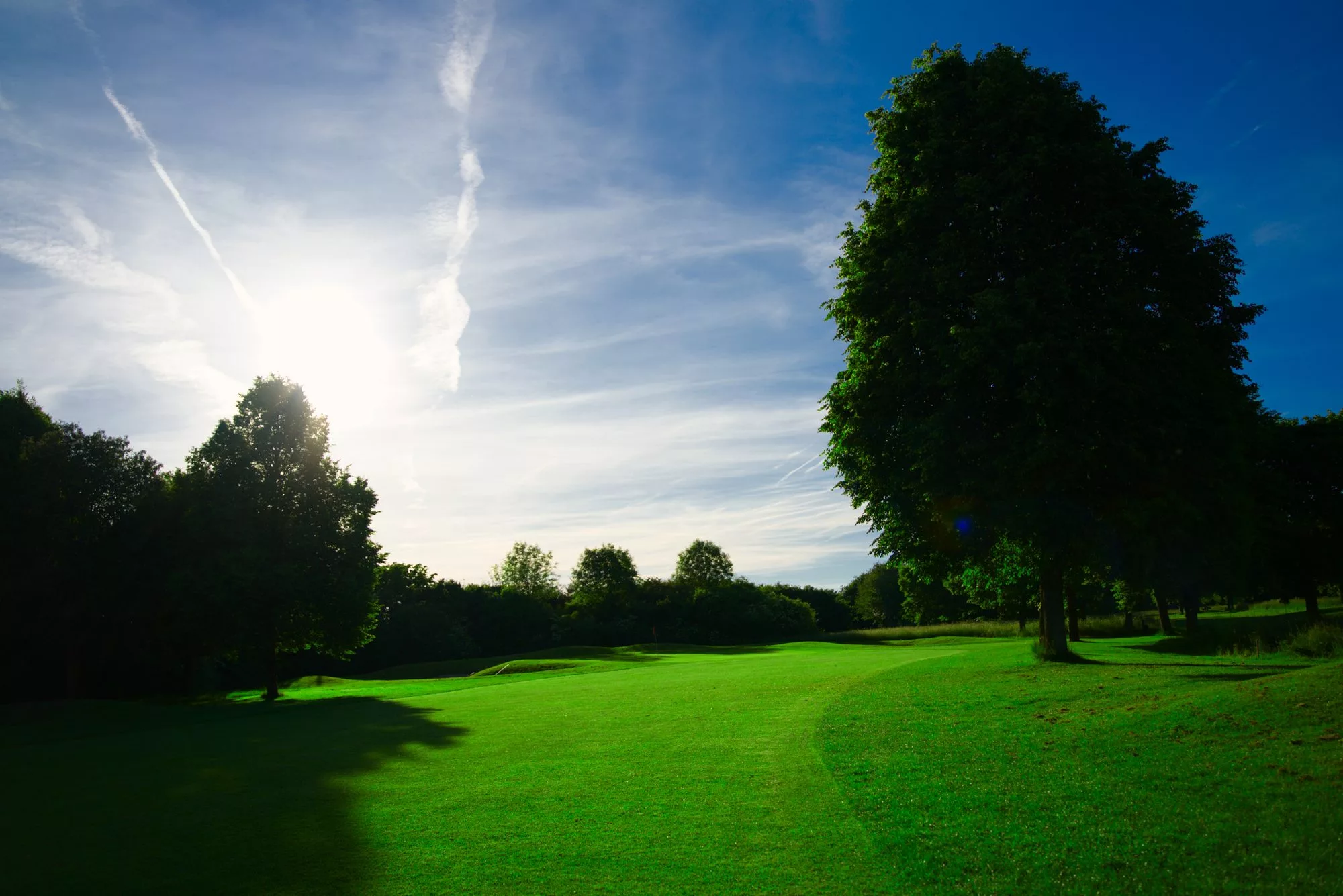 Golfplatz mit Baum und Sonnenstrahlen