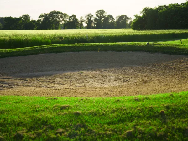 Tee-Höhe beim Golf: wie hoch bei Driver, Eisen, Hybrid