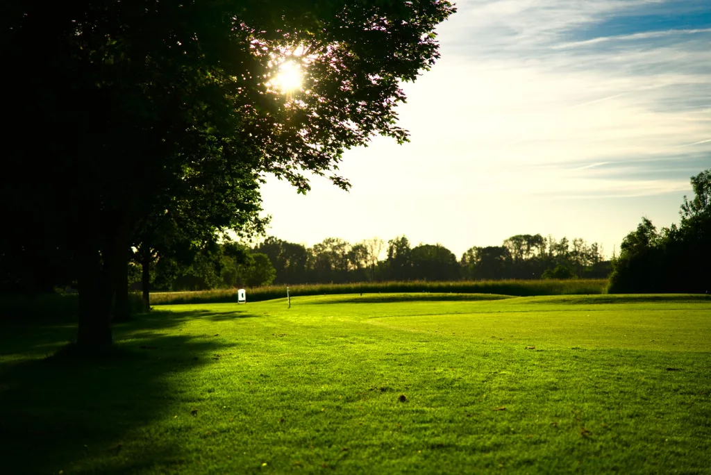 Fairway mit Baum im Abendlicht