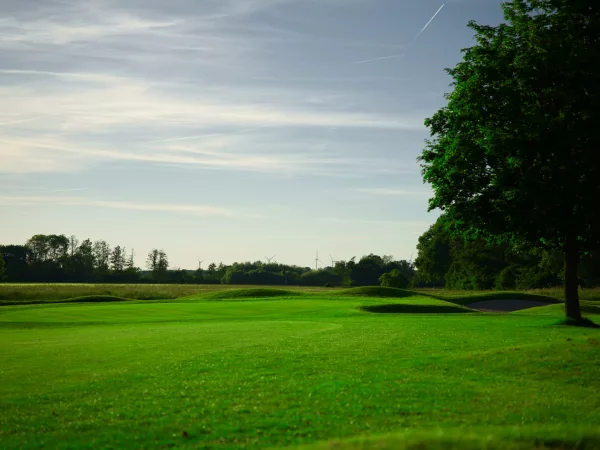 Stableford: die Zählweise einfach erklärt