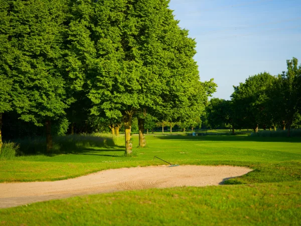 Scramble Golf: die Turnierform einfach erklärt