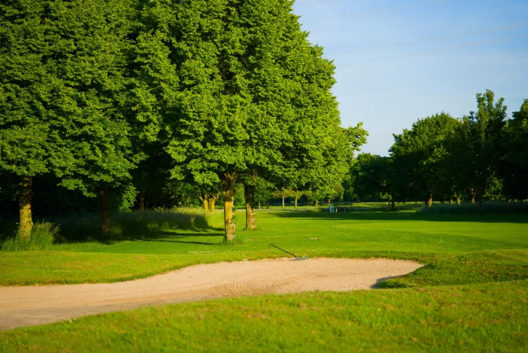 Grün mit Bunker und Baum im Golfclub Niep