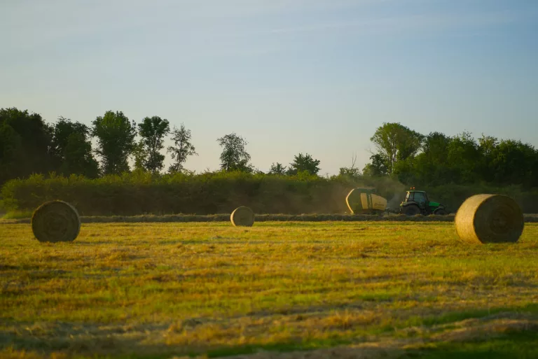 Golfplatz mit Strohballen in der Abendsonne